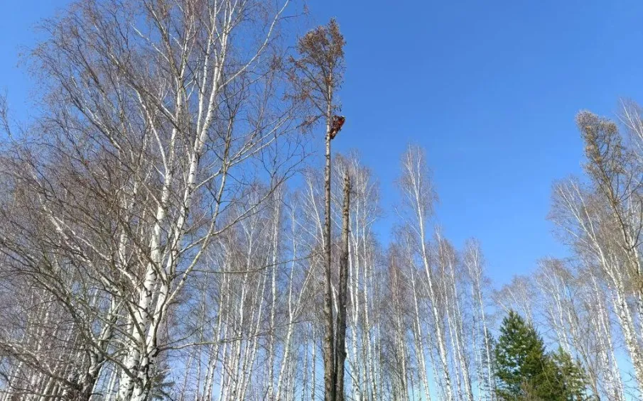 Уборка территории кладбища с. Вад.